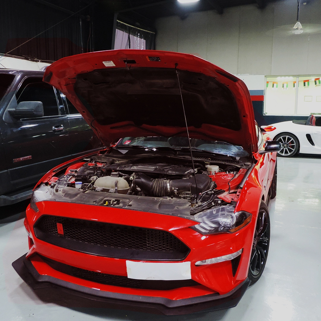 mustang Oil Change